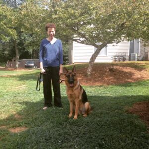 Dog Training Nashville Blog - Be A Pack Leader!